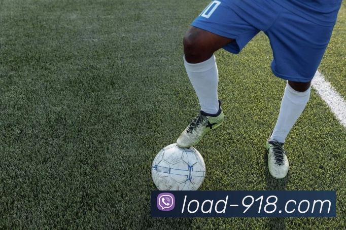 App Interface Preview